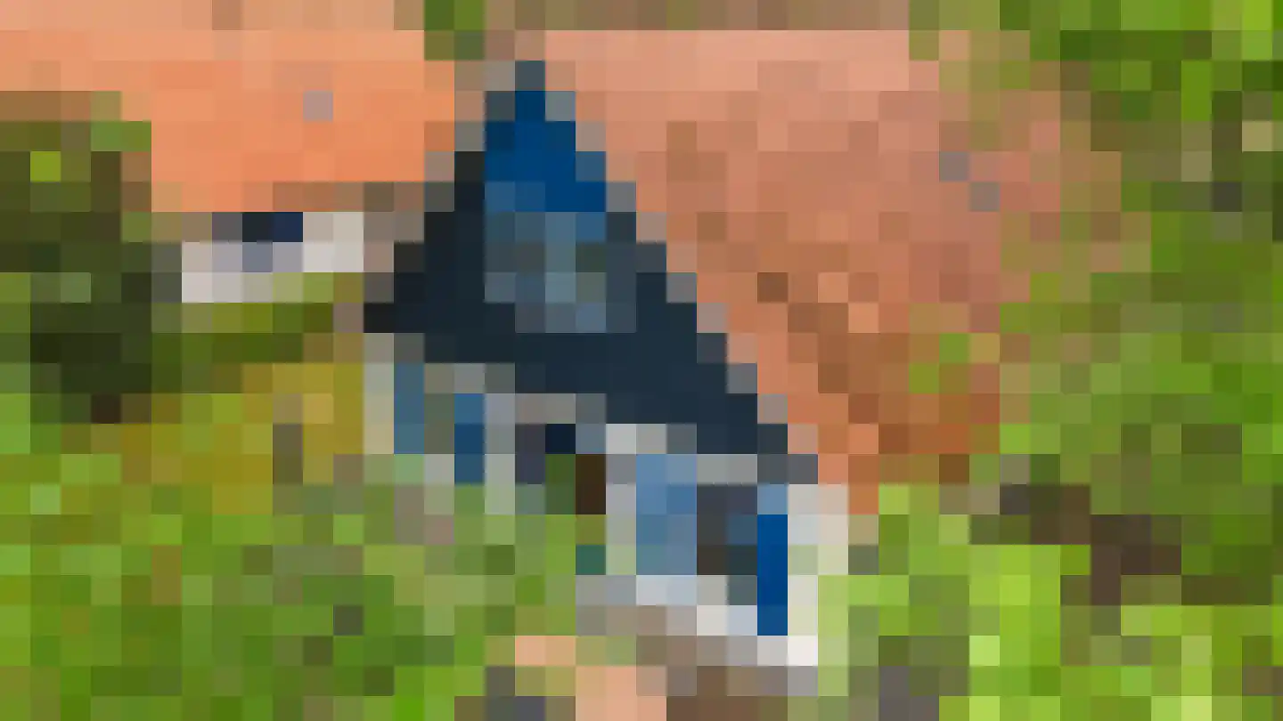 Hof van Halenweg 2 147 Hooghalen thumbnail 11
