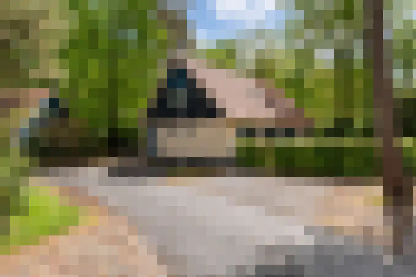 Hof van Halenweg 2 147 Hooghalen thumbnail 8