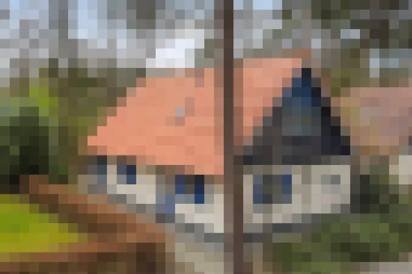 Hof van Halenweg 2 148 Hooghalen
