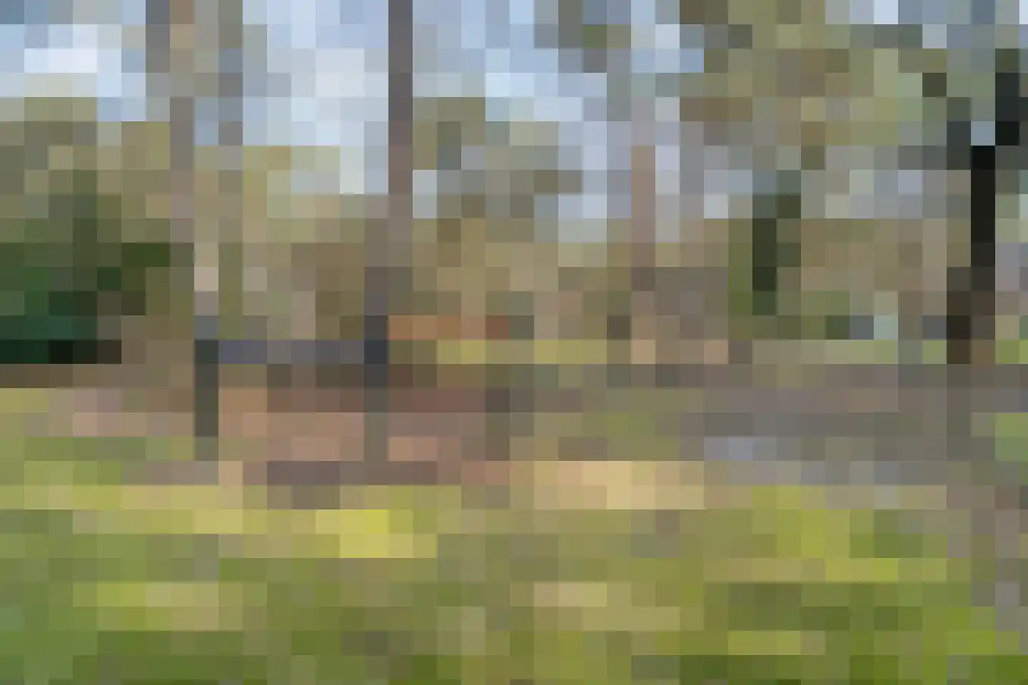 Hof van Halenweg 2 152 Hooghalen thumbnail 34