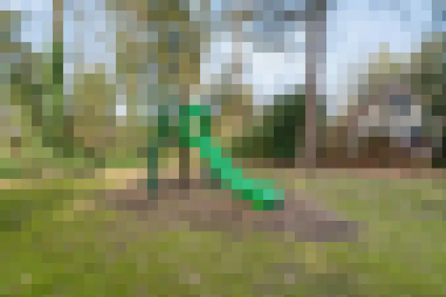 Hof van Halenweg 2 152 Hooghalen thumbnail 35