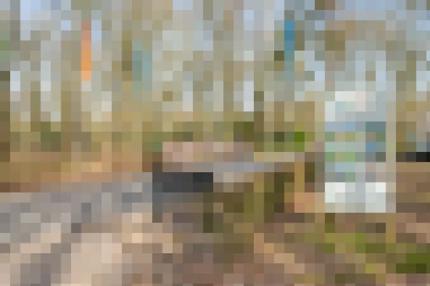 Hof van Halenweg 2 152 Hooghalen thumbnail 42