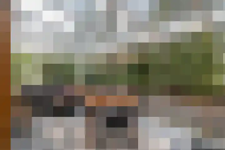 Hof van Halenweg 2 153 Hooghalen thumbnail 23