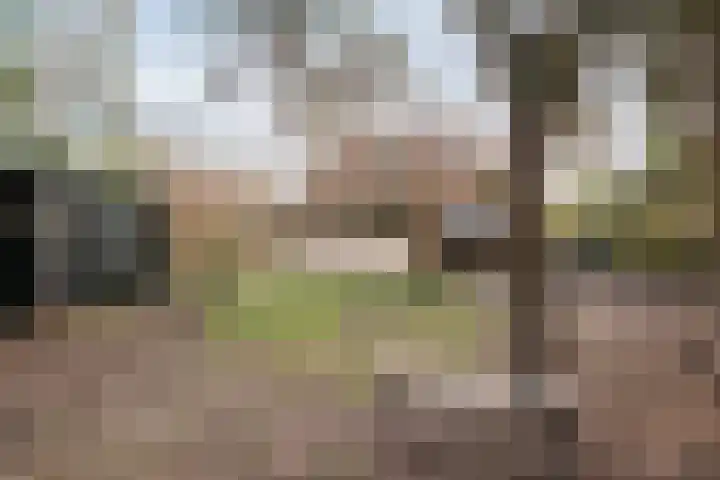 Hof van Halenweg 2 153 Hooghalen thumbnail 29