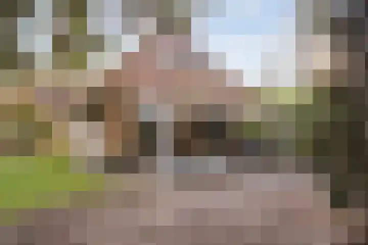 Hof van Halenweg 2 153 Hooghalen thumbnail 30