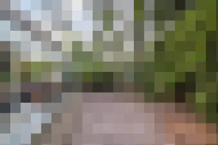 Hof van Halenweg 2 153 Hooghalen thumbnail 33