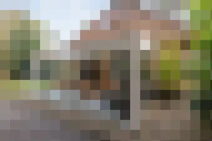 Hof van Halenweg 2 153 Hooghalen thumbnail 34