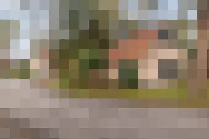 Hof van Halenweg 2 153 Hooghalen thumbnail 35