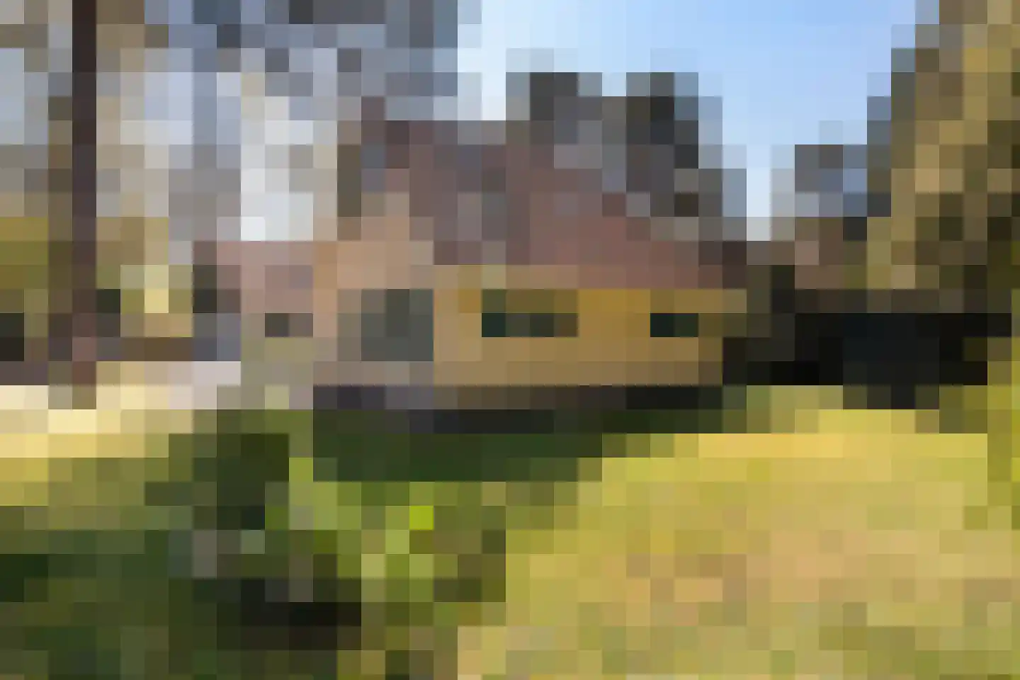 Hof van Halenweg 2 154 Hooghalen thumbnail 4
