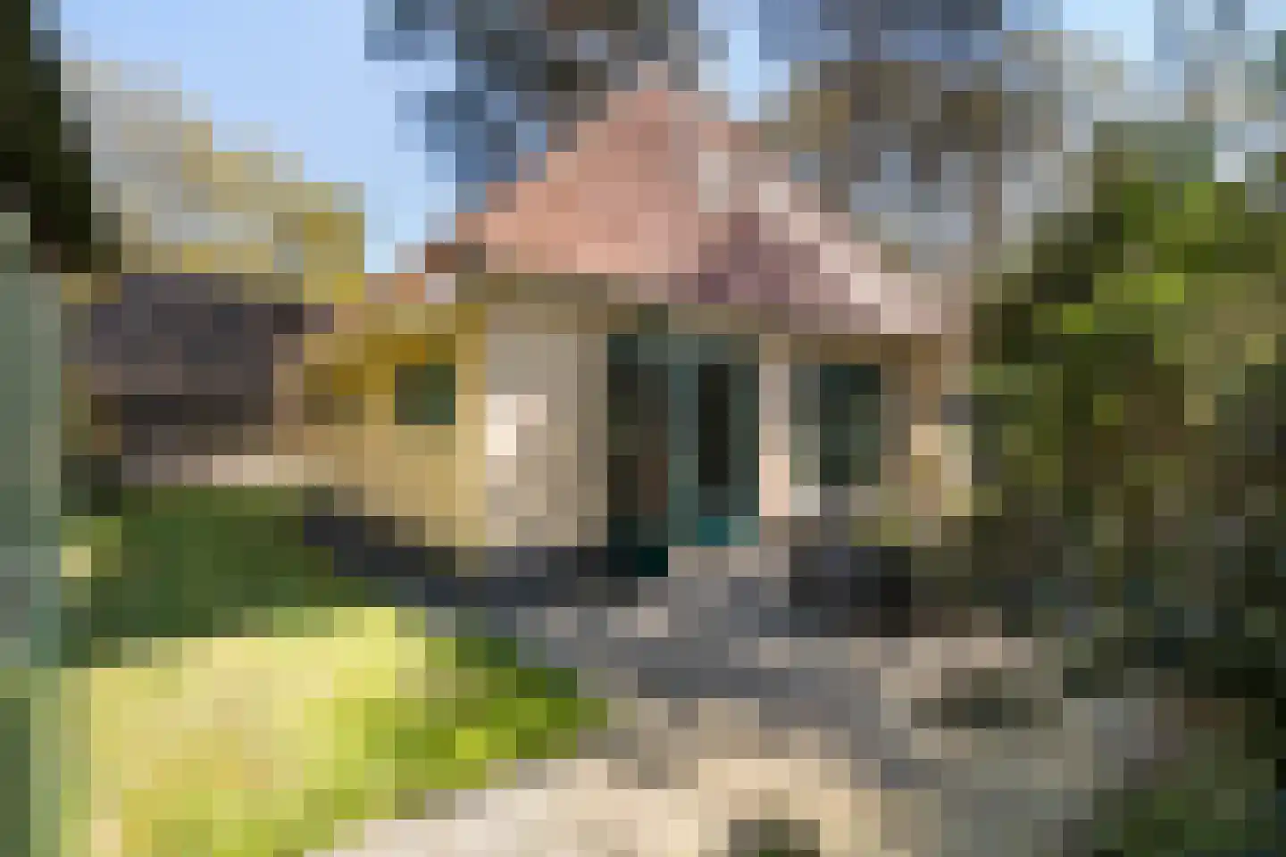 Hof van Halenweg 2 154 Hooghalen thumbnail 5