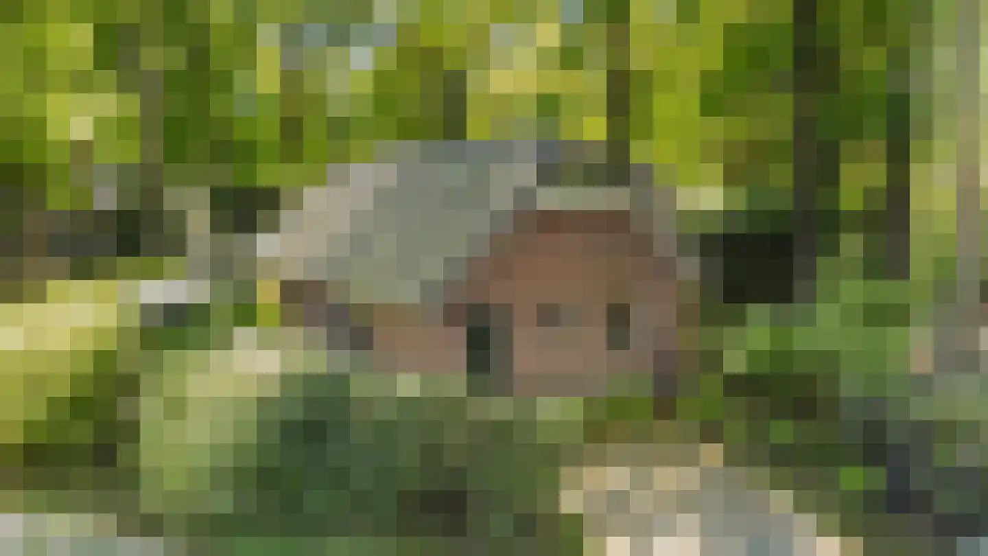 Hof van Halenweg 2 201 Hooghalen thumbnail 4