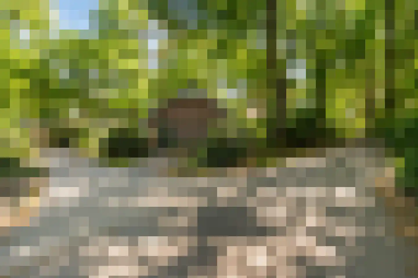 Hof van Halenweg 2 201 Hooghalen thumbnail 5
