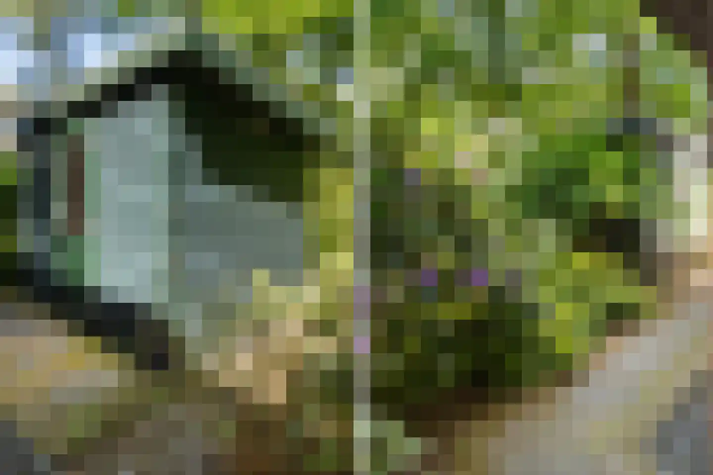 Hof van Halenweg 2 201 Hooghalen thumbnail 8
