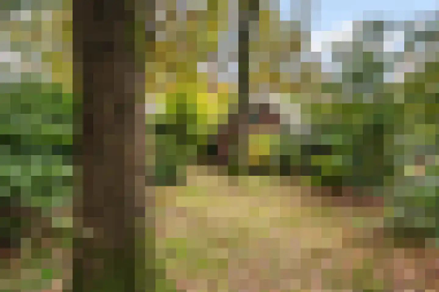 Hof van Halenweg 2 223 Hooghalen thumbnail 10