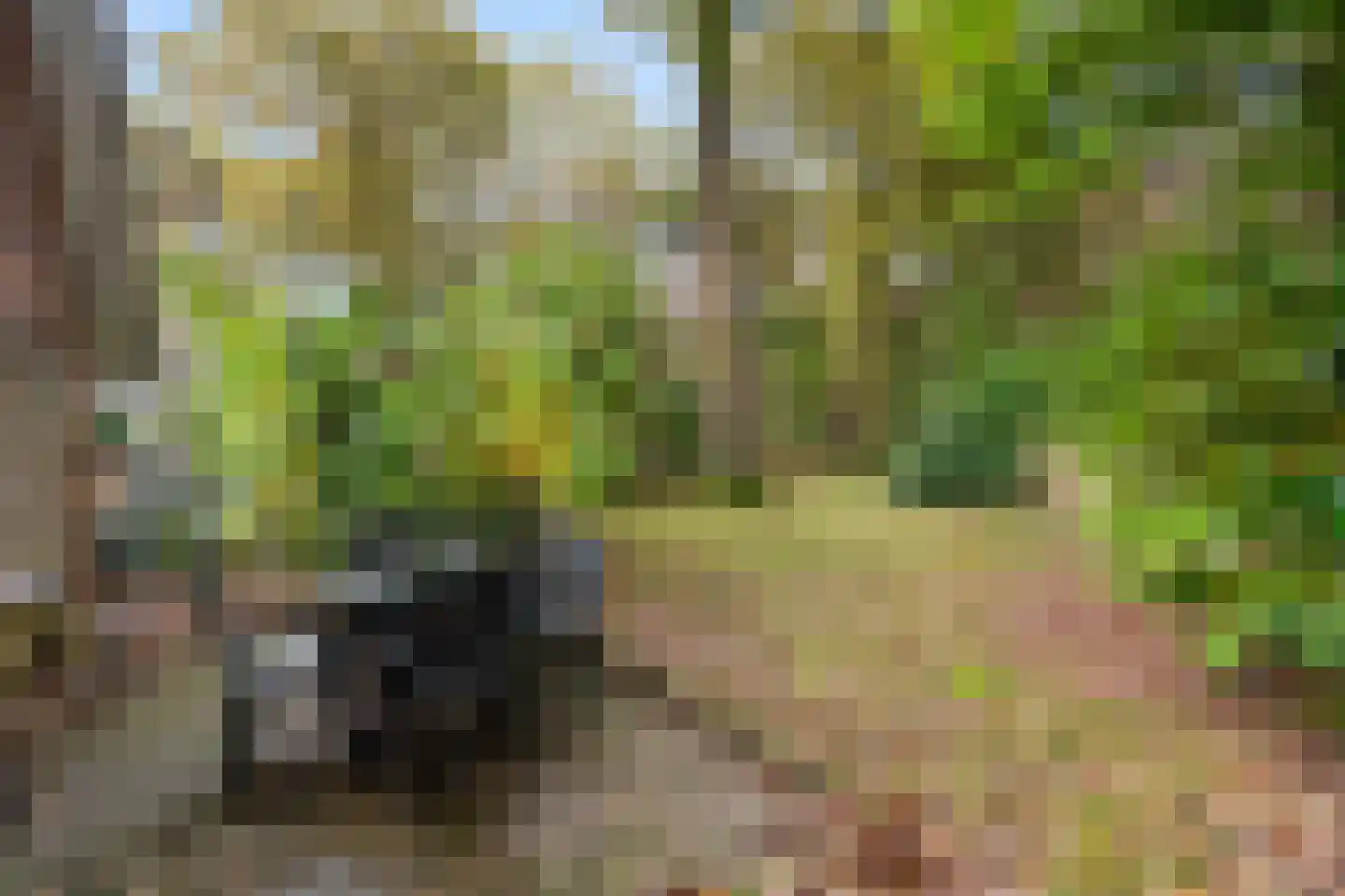 Hof van Halenweg 2 223 Hooghalen thumbnail 11