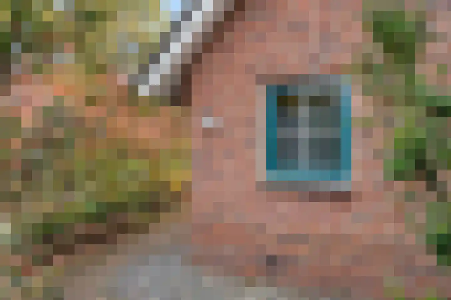 Hof van Halenweg 2 223 Hooghalen thumbnail 4