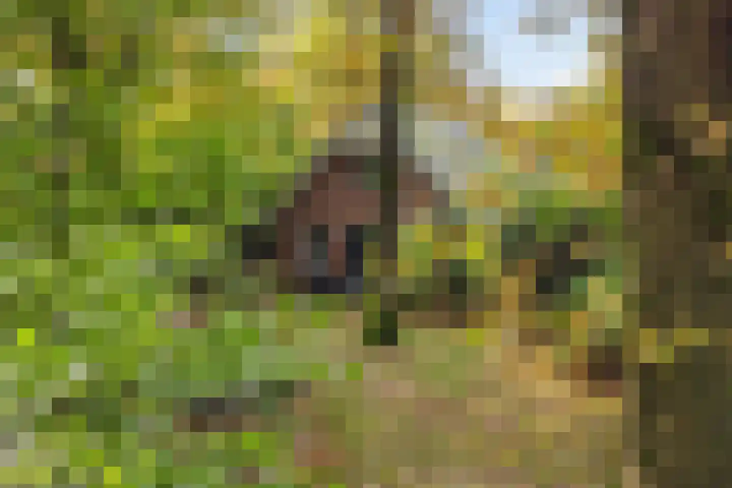 Hof van Halenweg 2 223 Hooghalen thumbnail 6