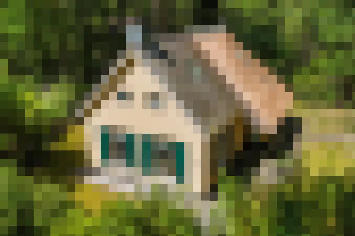 Hof van Halenweg 2 266 Hooghalen thumbnail 6
