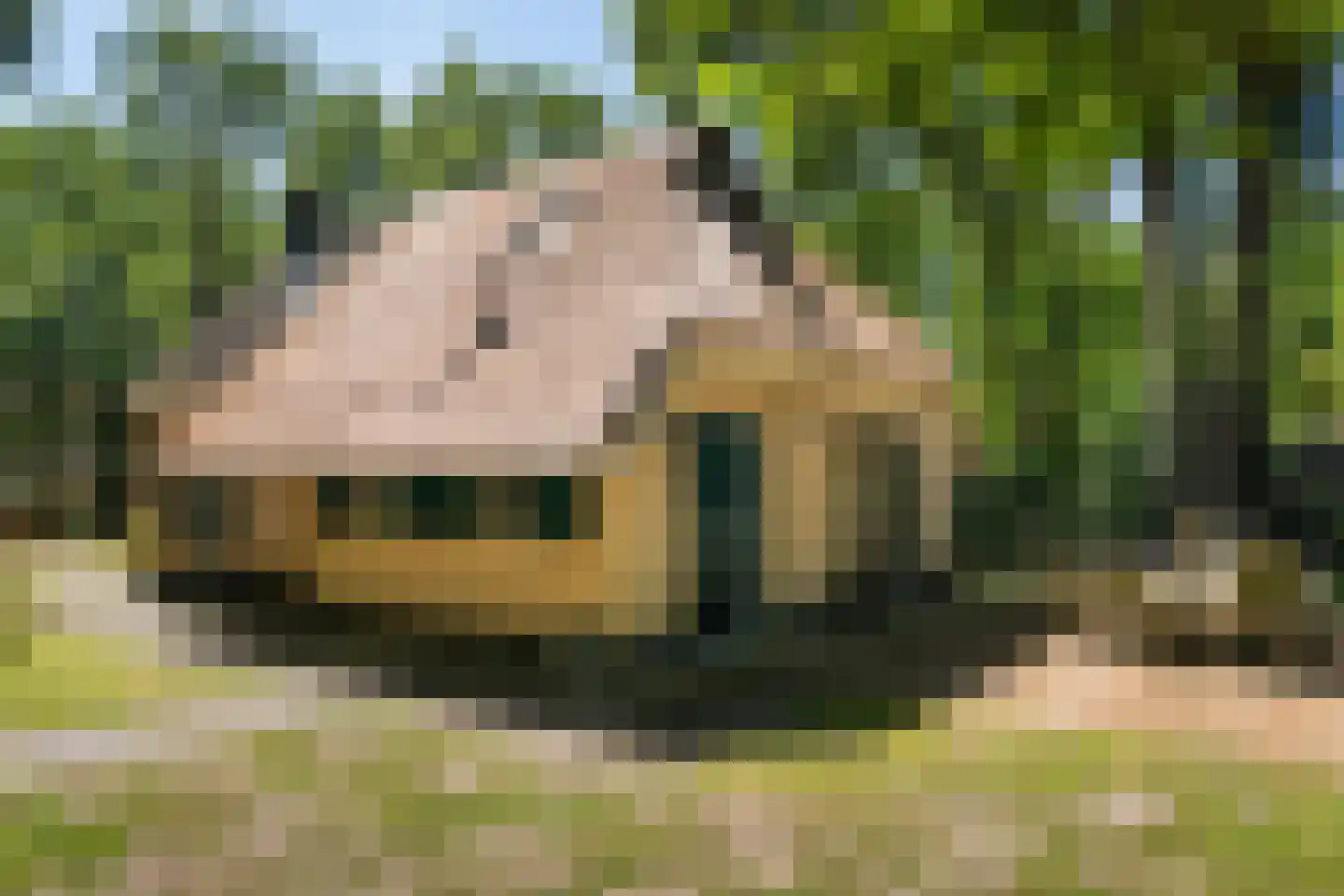 Hof van Halenweg 2 266 Hooghalen thumbnail 7