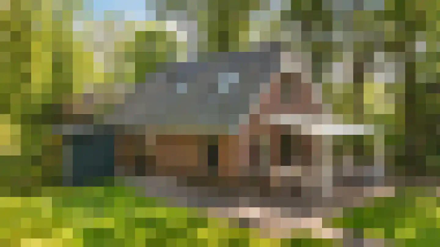 Hof van Halenweg 2 28 Hooghalen