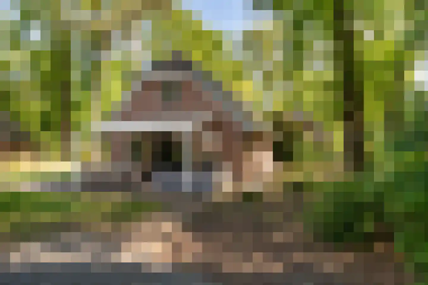 Hof van Halenweg 2 28 Hooghalen thumbnail 4