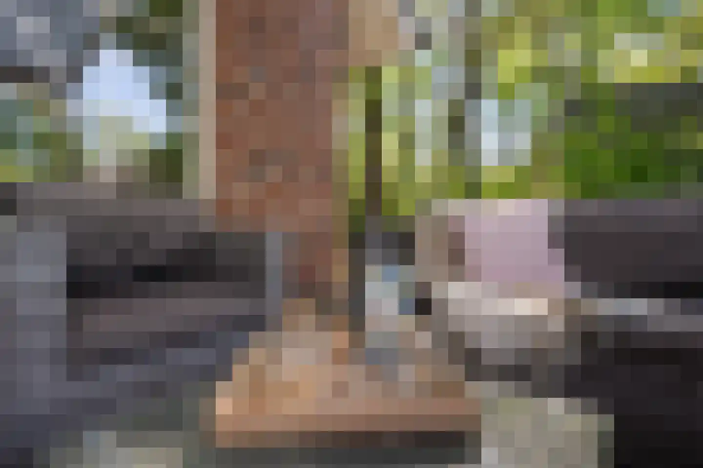 Hof van Halenweg 2 28 Hooghalen thumbnail 5