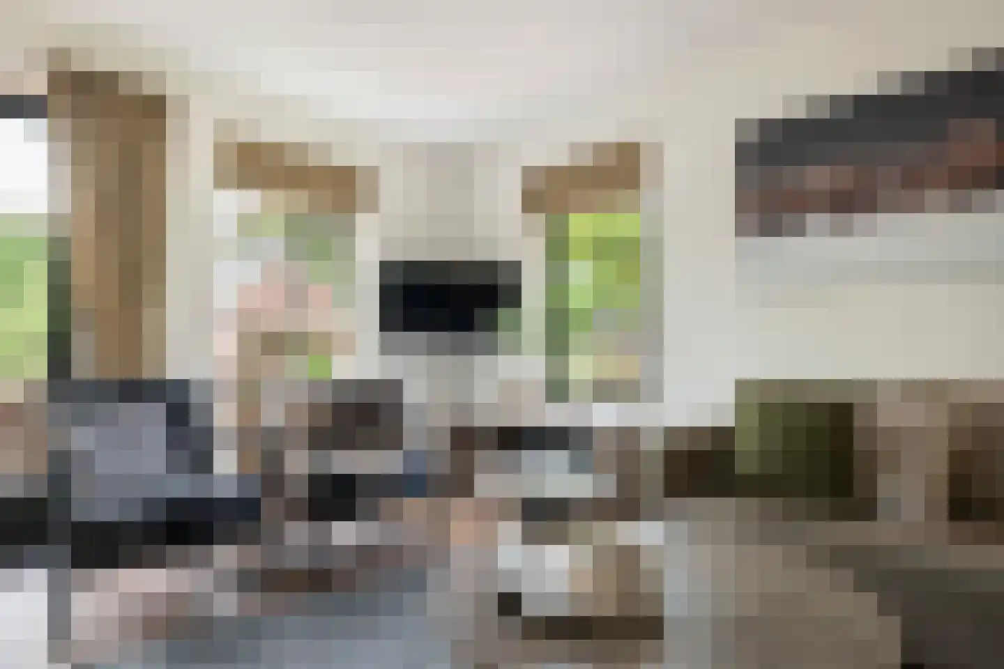 Hof van Halenweg 2 28 Hooghalen thumbnail 8