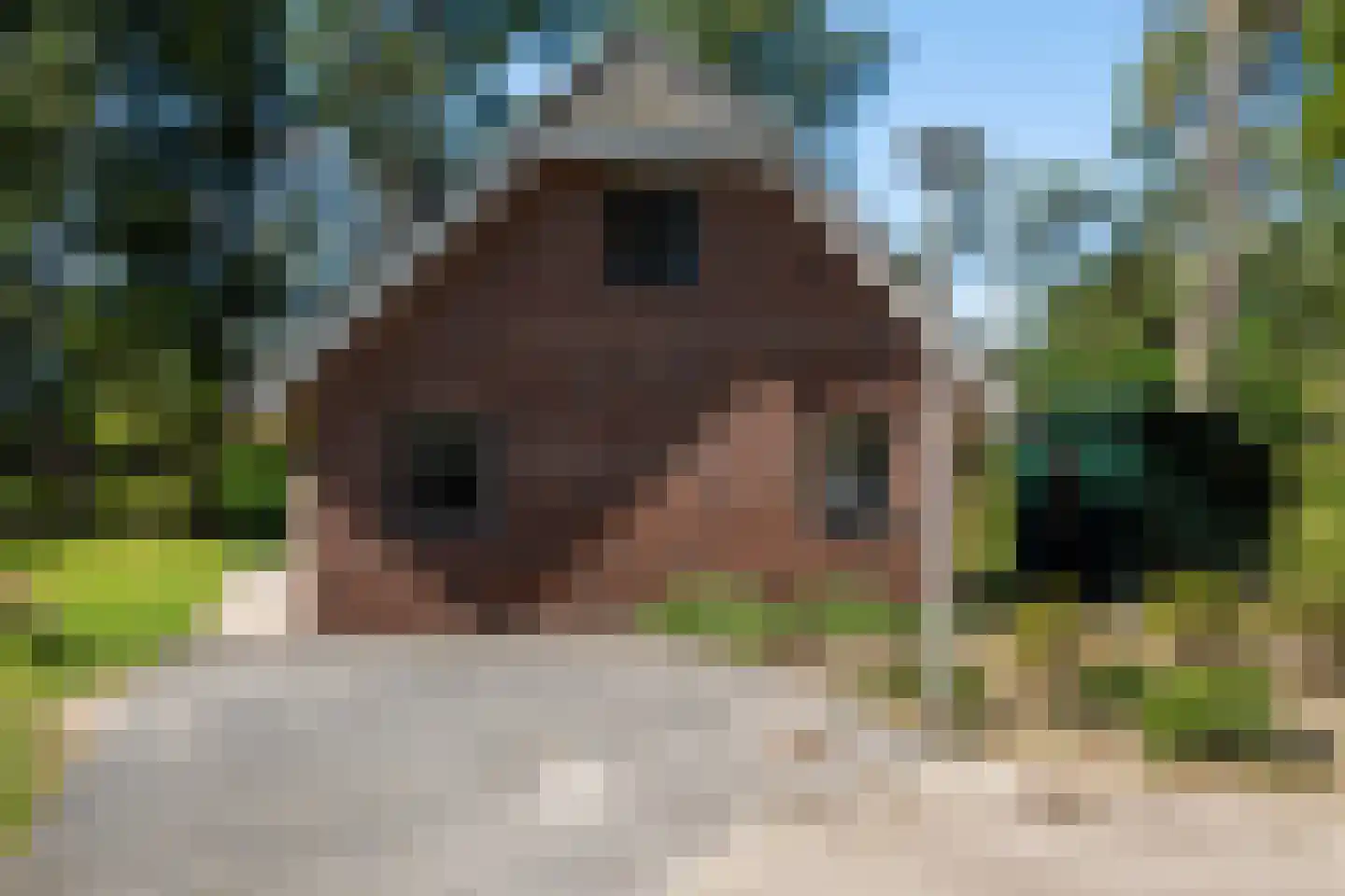 Hof van Halenweg 2 317 Hooghalen thumbnail 10