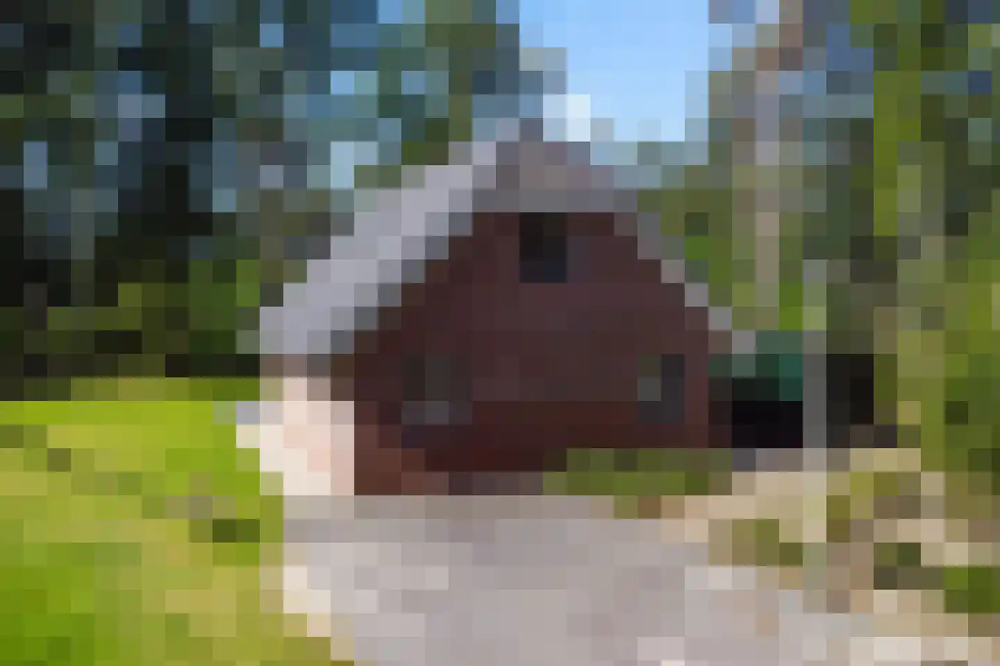 Hof van Halenweg 2 317 Hooghalen thumbnail 11