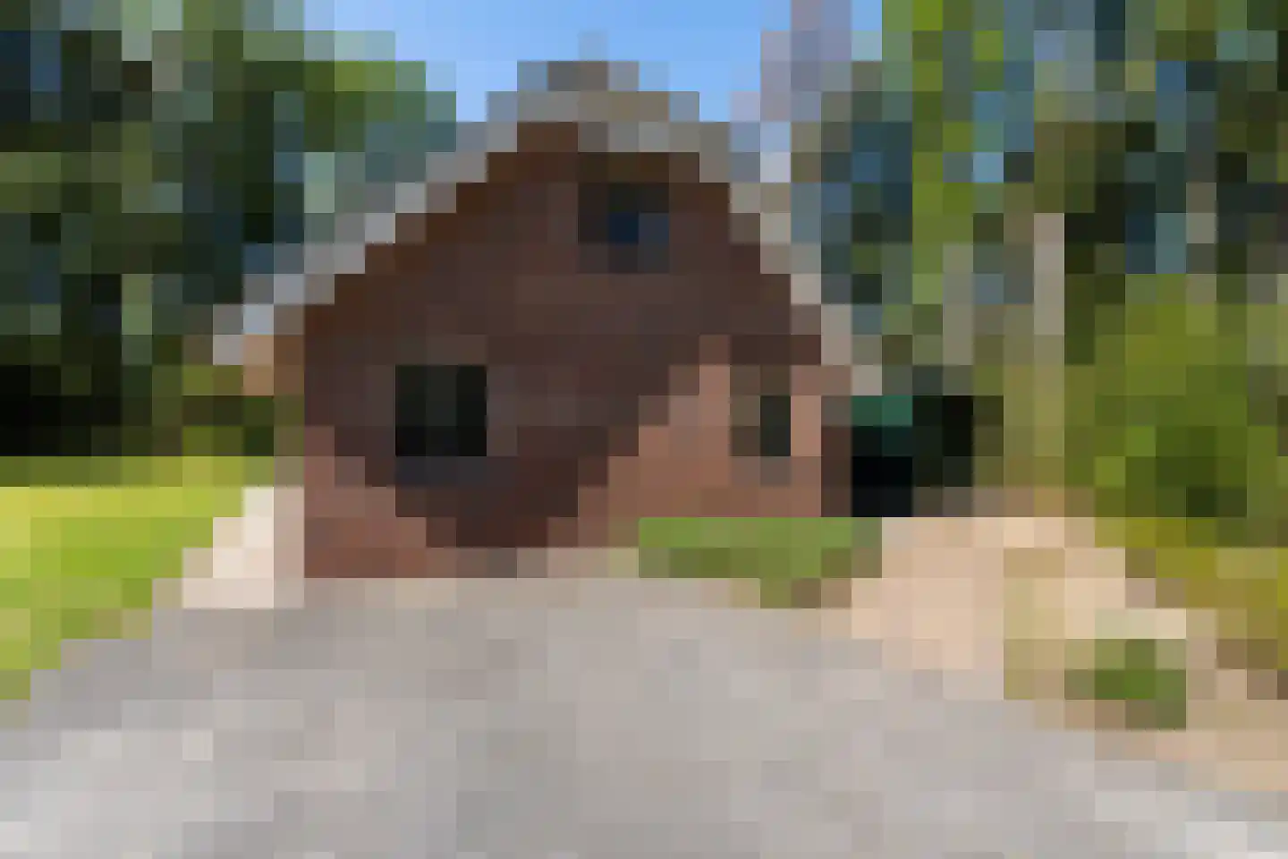 Hof van Halenweg 2 317 Hooghalen thumbnail 12