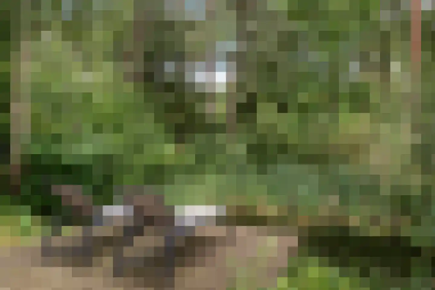Hof van Halenweg 2 319 Hooghalen thumbnail 15