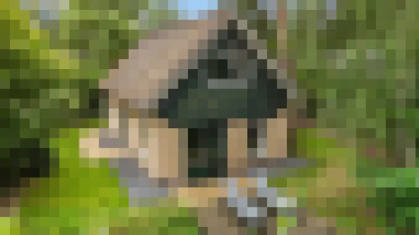 Hof van Halenweg 2 319 Hooghalen thumbnail 5