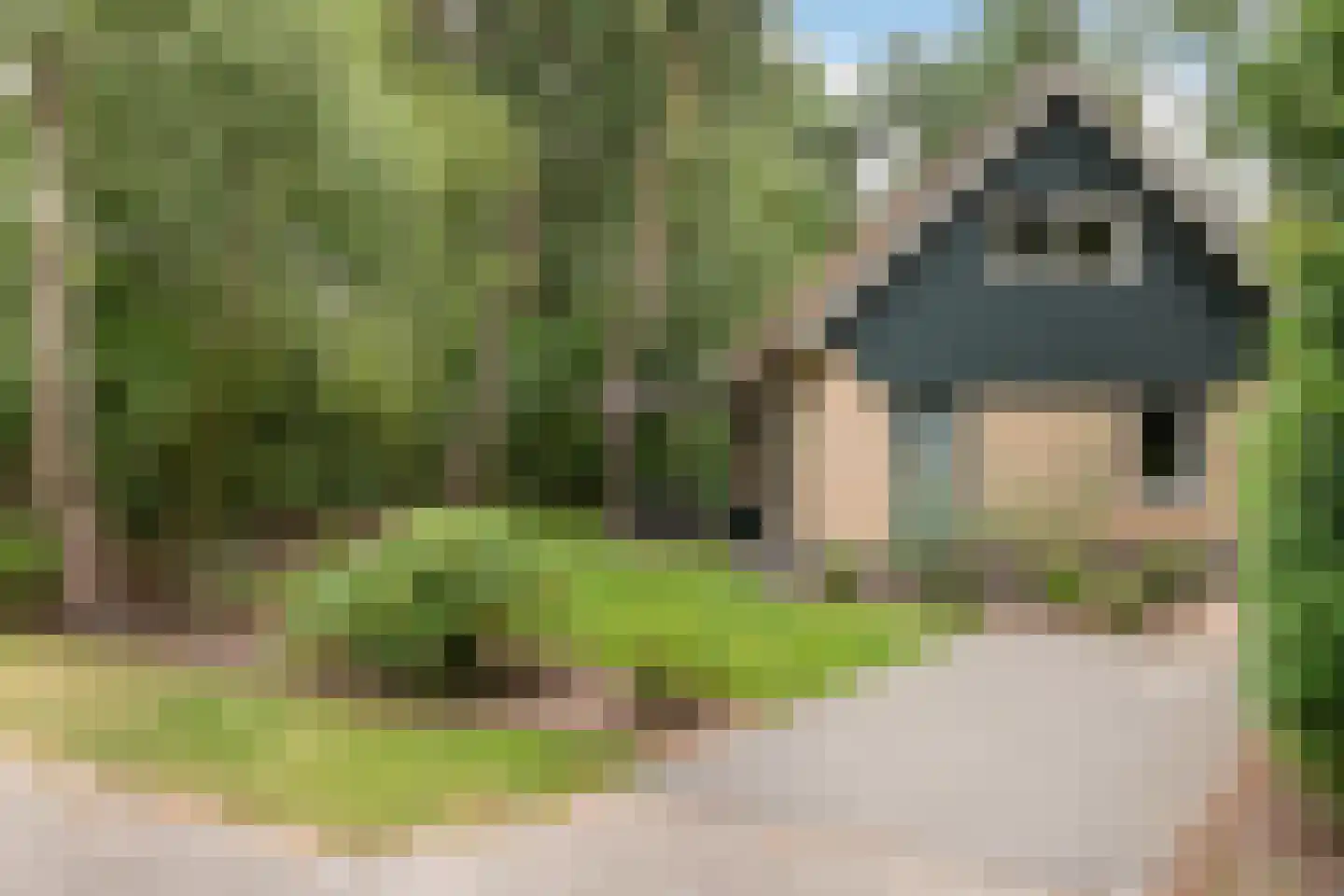 Hof van Halenweg 2 319 Hooghalen thumbnail 9