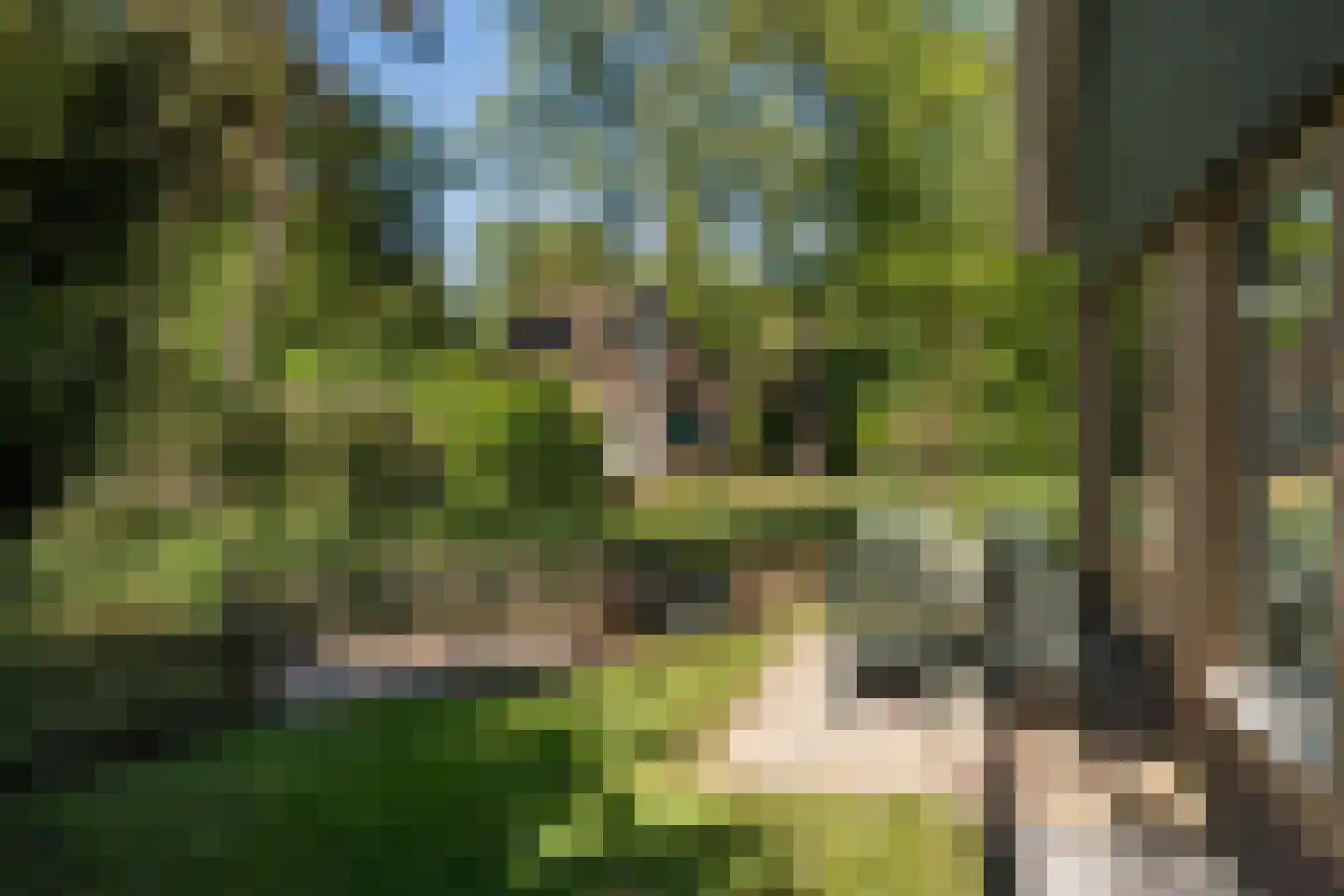 Hof van Halenweg 2 320 Hooghalen thumbnail 5