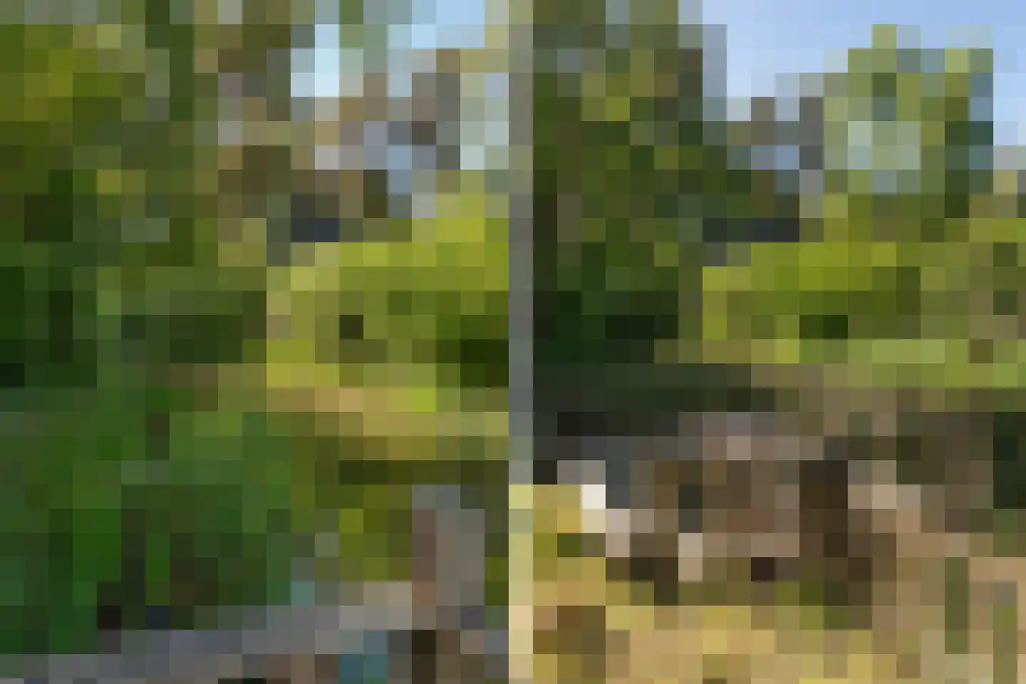 Hof van Halenweg 2 320 Hooghalen thumbnail 6