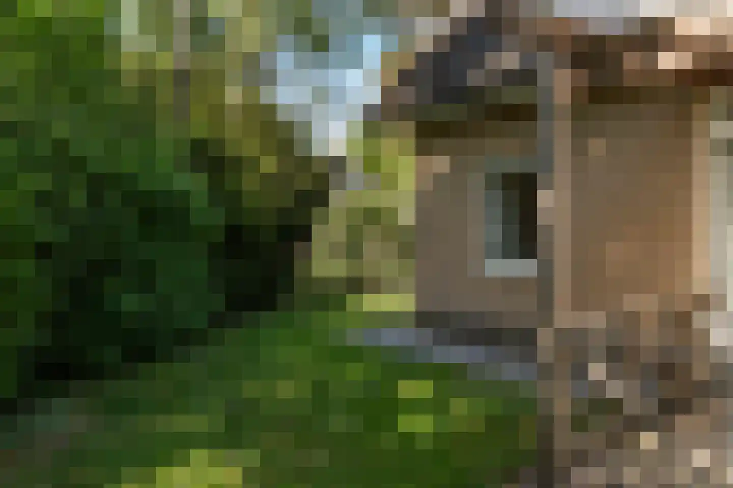 Hof van Halenweg 2 320 Hooghalen thumbnail 7