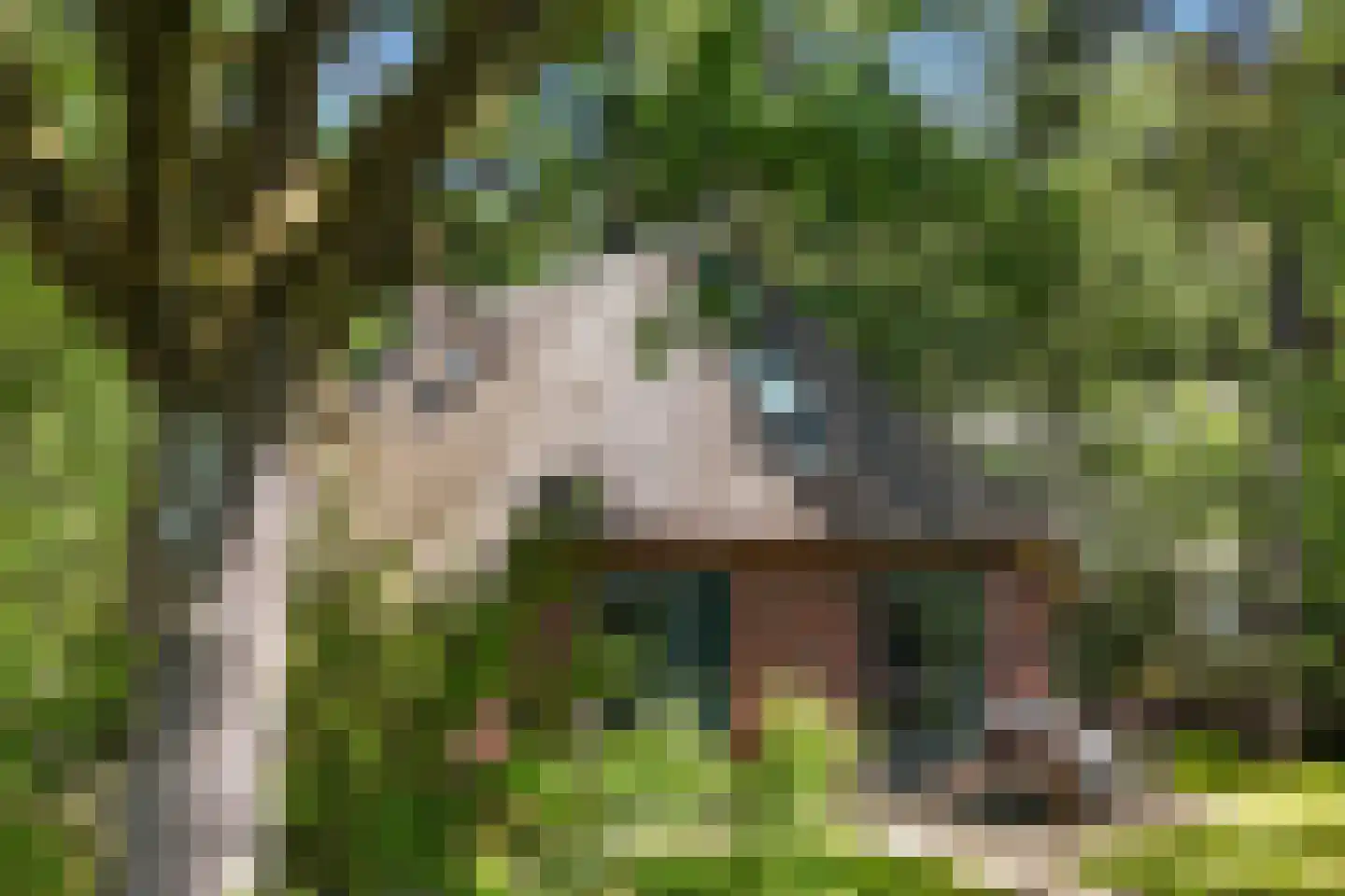 Hof van Halenweg 2 322 Hooghalen thumbnail 4