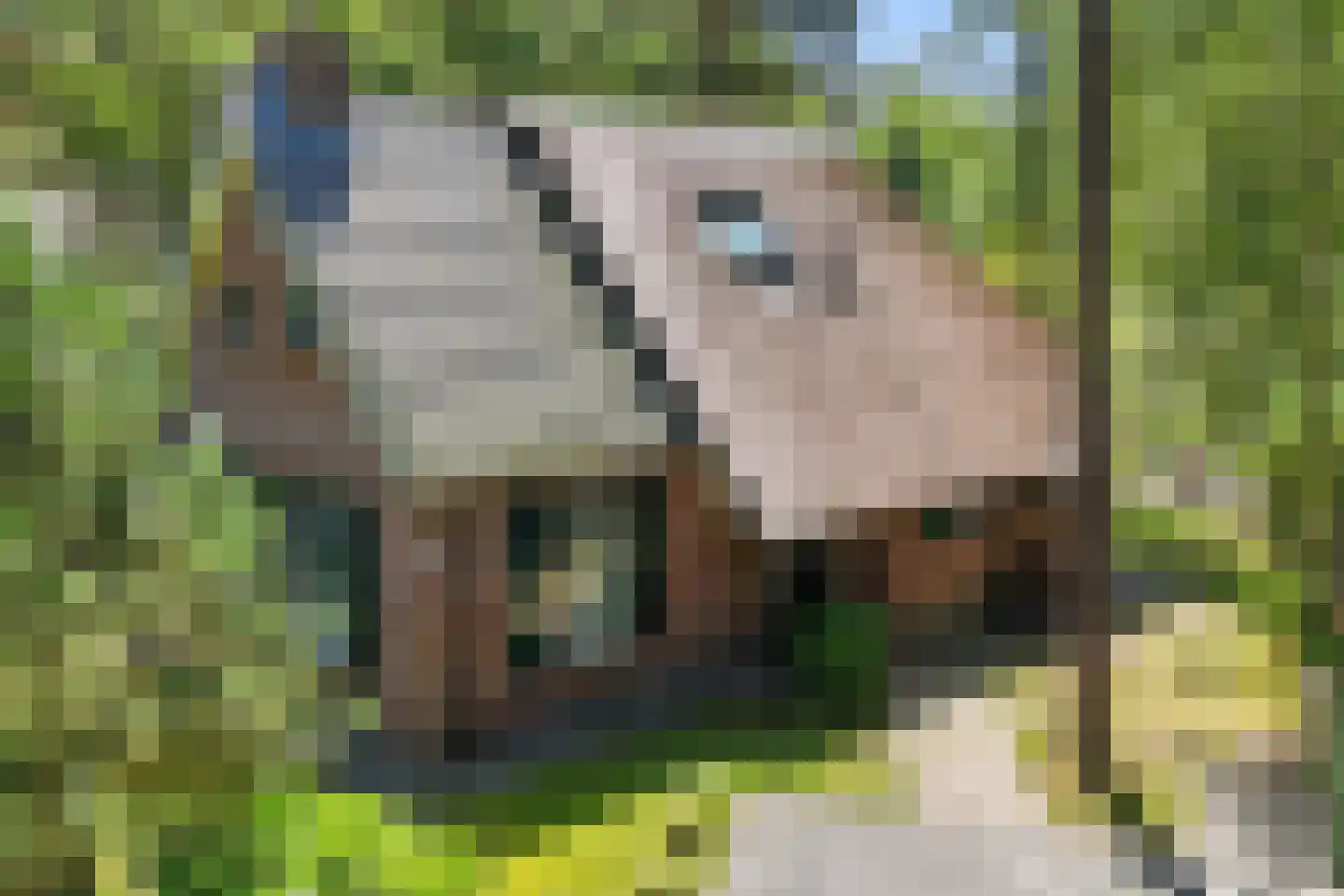 Hof van Halenweg 2 322 Hooghalen thumbnail 5