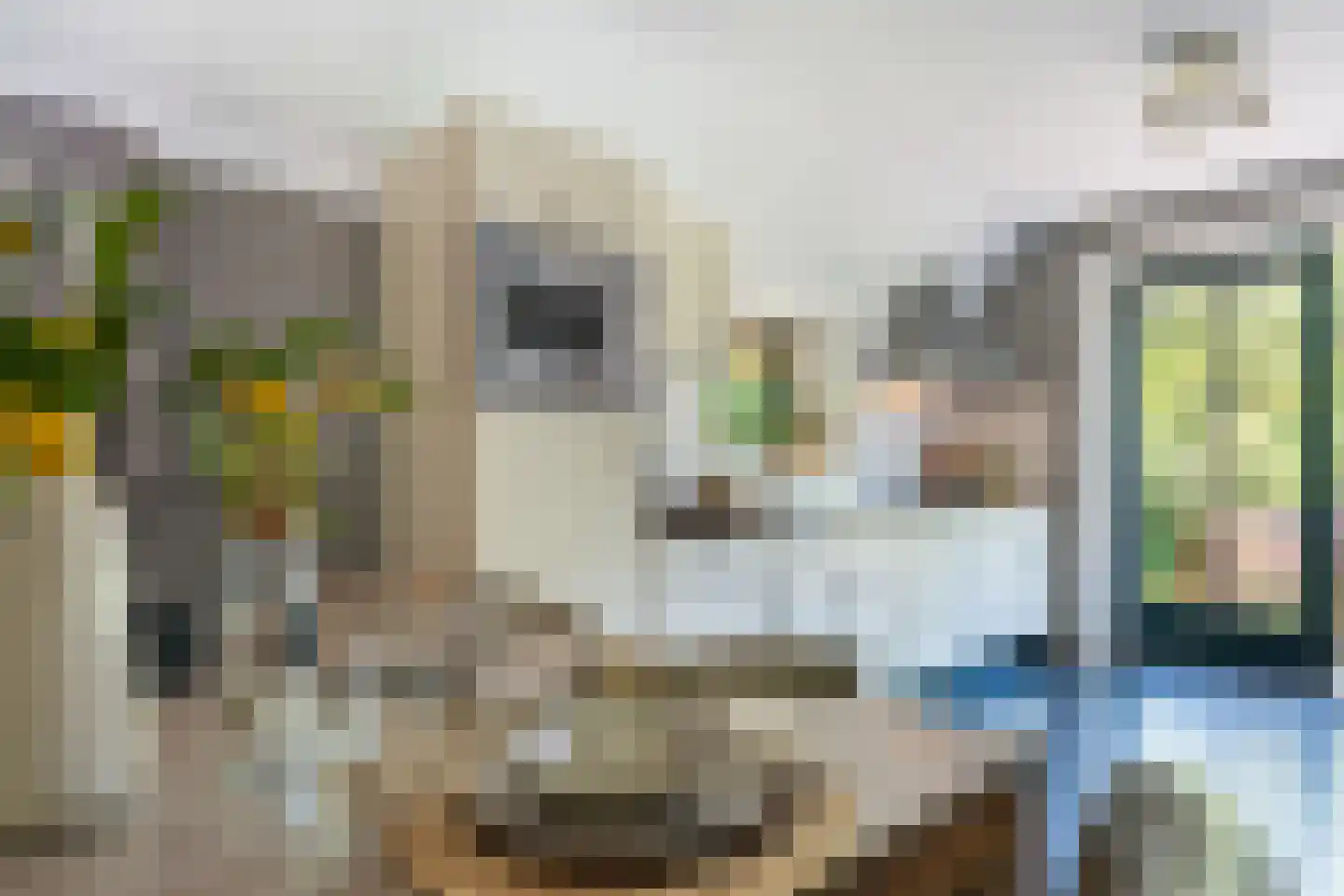 Hof van Halenweg 2 322 Hooghalen thumbnail 7
