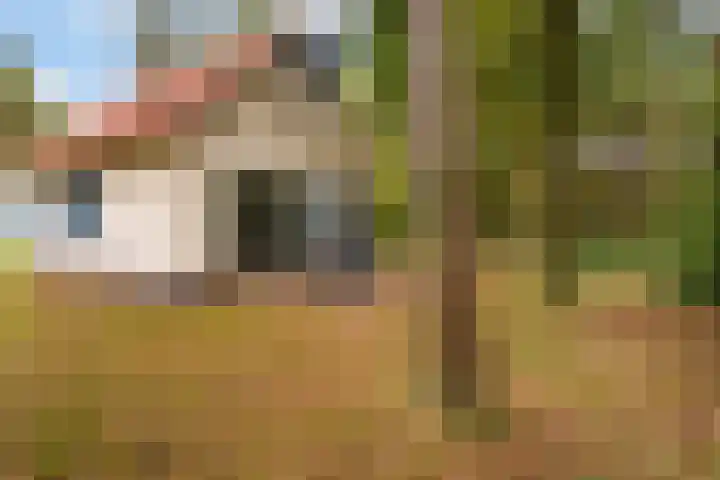 Hof van Halenweg 2 368 Hooghalen thumbnail 12