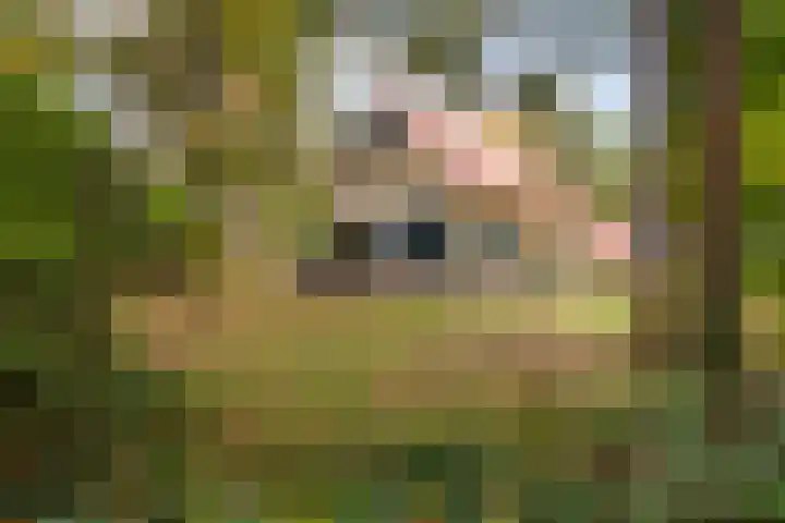 Hof van Halenweg 2 368 Hooghalen thumbnail 15