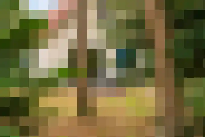 Hof van Halenweg 2 368 Hooghalen thumbnail 4