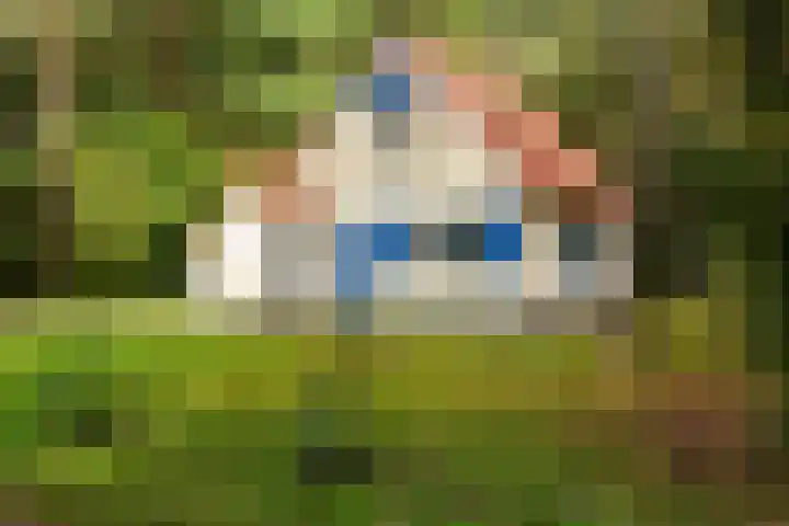 Hof van Halenweg 2 368 Hooghalen thumbnail 5