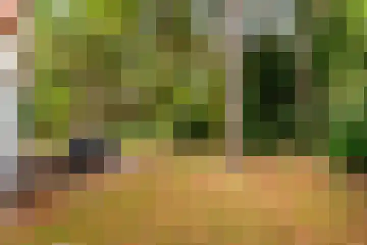 Hof van Halenweg 2 368 Hooghalen thumbnail 7