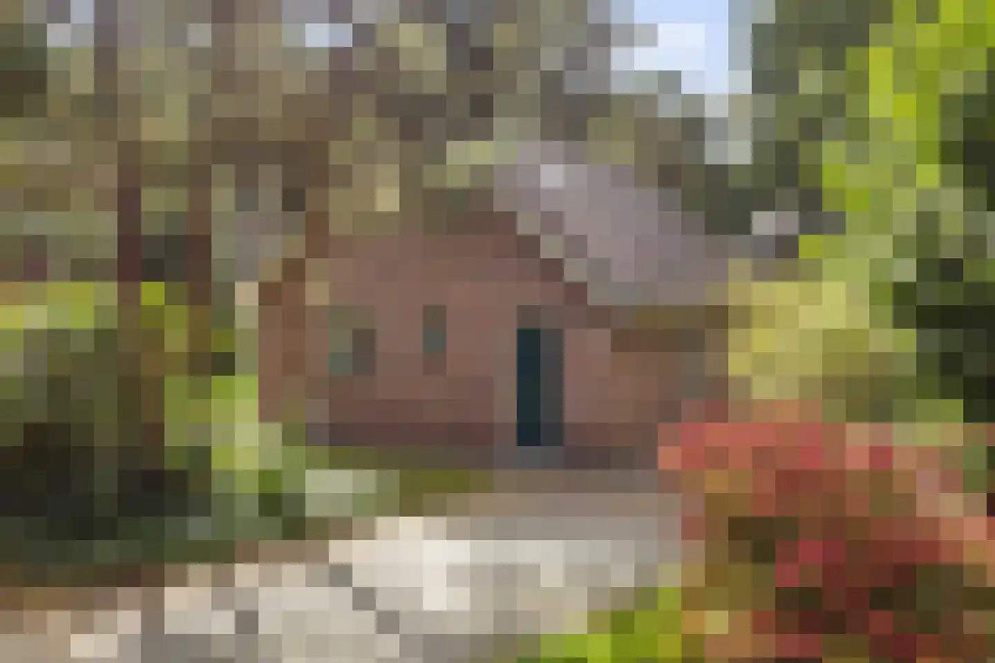Hof van Halenweg 2 37 Hooghalen thumbnail 23