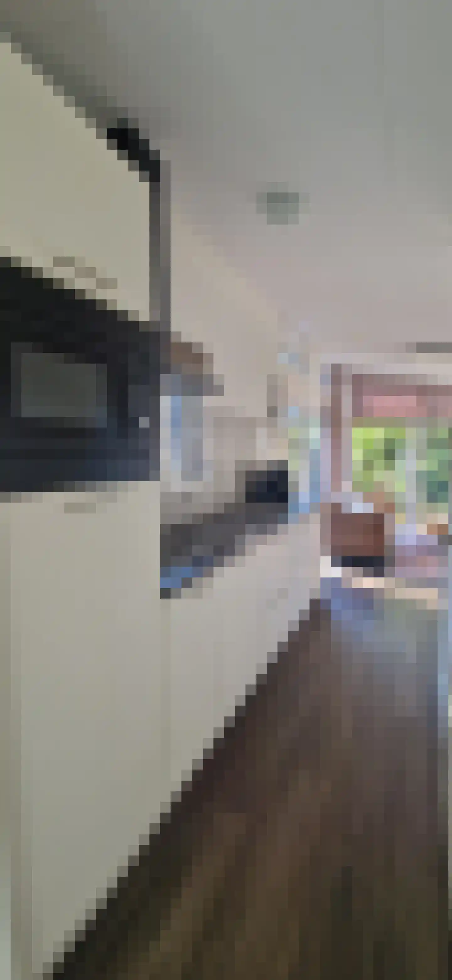 Hof van Halenweg 2 676 Hooghalen thumbnail 4