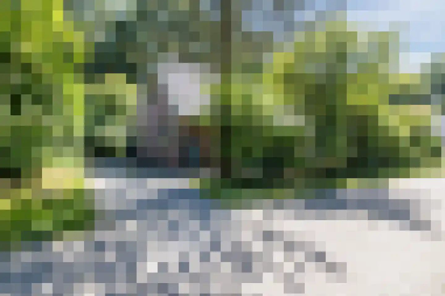Hof van Halenweg 2 80 Hooghalen thumbnail 51