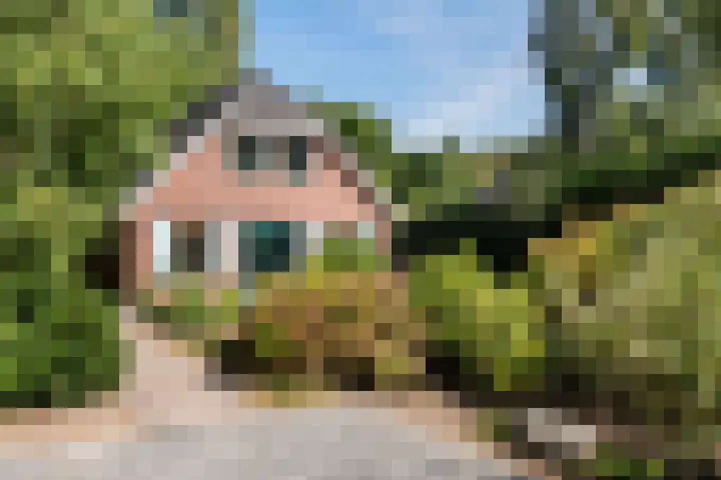 Hof van Halenweg 2 83 Hooghalen thumbnail 4