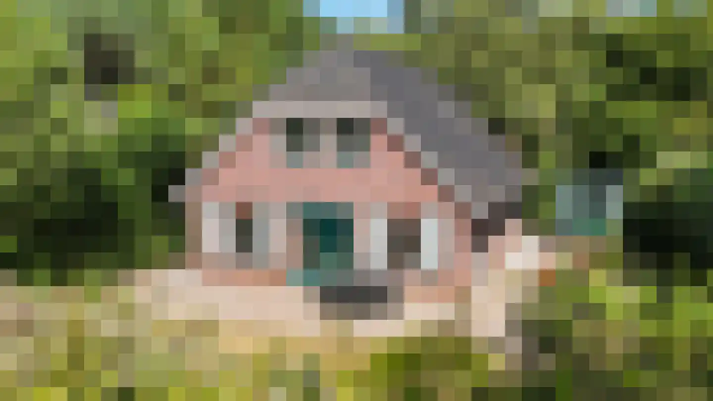 Hof van Halenweg 2 83 Hooghalen thumbnail 9