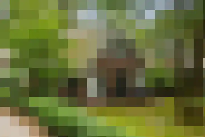 Hof van Halenweg 2 96 Hooghalen thumbnail 26